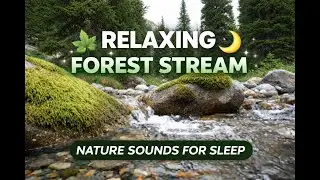 LIVE Relaxing Mountain Stream & Forest Sounds | Deep Sleep & Stress Relief 🌿🏔️