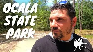 There's something scary in OCALA STATE PARK