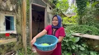 BIKIN SEDIH! JANDA DI TINGGAL SUAMI DI RUMAH ROBOH TENGAH HUTAN