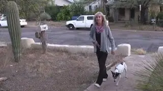 Grandmother, Dog Rescued After 9 Days in Arizona Wilderness