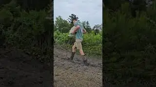 Seed is finally in the dirt