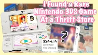 I Found a RARE Nintendo 3DS Game at a Thrift Store