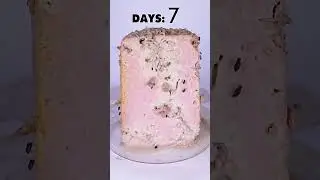 Best Tofu Recipe in 2026 😋