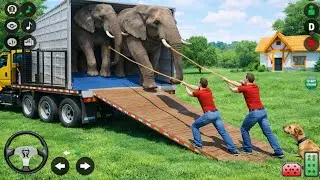 Animal Cargo Truck Driving Game 3D - Animal Transport Cargo Truck 2024 - Android Gameplay
