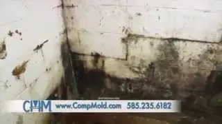 Mold Removal/Customer Home Commercial, Comprehensive Mold Management