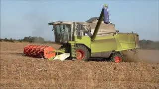 CLAAS MEGA 360 Combi Harvesting The Wheat