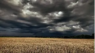 What is thunderstorm asthma?