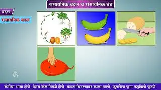 8th Science | Chapter#13 | Topic#01 | प्रस्तावना | Marathi Medium