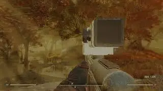 Mire CAMP location