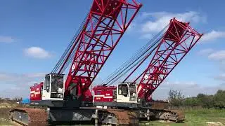 İkinci El, FUWA QUY-120 Vin&ccedil; / Erke Group