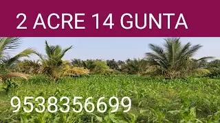 Vi) 2 ACRE 14 GUNTA | YOUR GREEN HEAVEN | READY COCONUT FARM FOR SALE@9538356699@SurabhiProperties