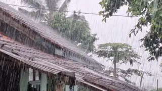 Heavy Tropical Rain on a Quiet Village Roof Edge | Ultimate Sleep Therapy | LIVE