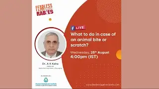 What to do in case of an animal bite or scratch?