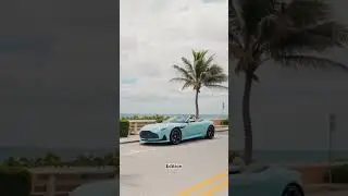 ONE OF ONE CAR