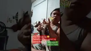 Nasuntok pa nga😂 #shortvideo #fyp #dog #shorts