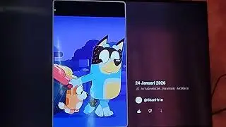 Crazy edit bluey episode pool and bin night