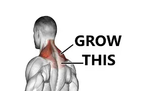 DO THIS to GROW BIGGER TRAPS FAST