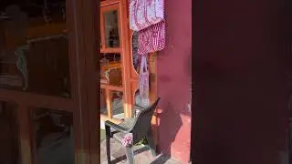 #shorts #short #india #vlog #travel #shortsvideo #shortvideo #trending #viral #video #viralvideo