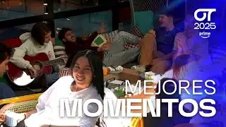 CONCIERTO y NOMINACIONES durante el DESAYUNO (18 de noviembre) | OT 2025