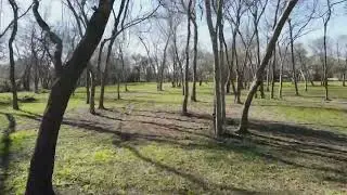 2405 Calder Dr, League City, TX 77573