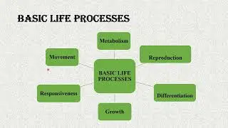 Basic Life Processes and Homeostasis || #humananatomyandphysiology #aktu  #BP101T @pharmafirst9514