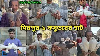 ০২/০১/২০২৬ মিরপুর-১ কবুতর হাট || মিরপুর-১ কবুতরের হাট ২০২৫ || Mirpur-1 Pigeon Market || কবুতর বাজার