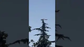 My Best Aviation Videos of 2024 🤩 #planes #airplane #aviation #aeroplane #airplanespotting