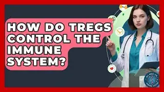 How Do Tregs Control The Immune System? - All About the Immune System