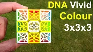 *NEW* DNA Vivid Colour 3x3x3 Rubik's Cube Puzzle