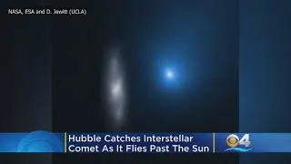 Hubble Catches Mysterious Visitor From Beyond, Interstellar Comet, As It Flies Past The Sun