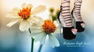Gladiator Strappy High Heel Sandals | Clean Showcase