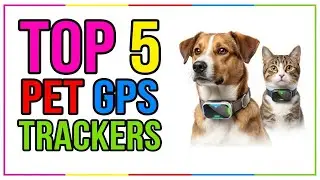 TOP 5 Best GPS Trackers for Pets 2026 | Keep Tabs on Your Furry Friend for Peace of Mind