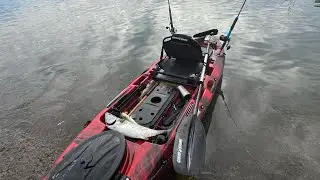 Pesca en kayak en la bah&iacute;a Ensenada 🎣