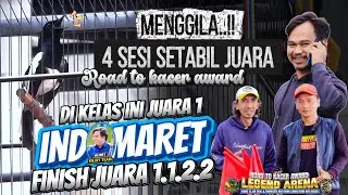 INDOMARET SETABIL JUARA 4 SESI FINISH JUARA 1.1.2.2.🔸ROAD TO KACER AWARD LEGEN ARENA🔹MR.ANDI H ENJOY