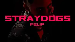 FELIP STRAYDOGS 日本語訳