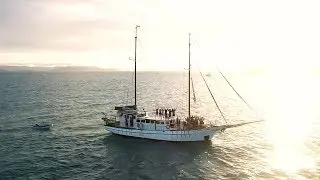 New Horizon - Sailing Whitsundays
