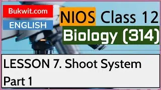 NIOS Class 12 Biology (314): Lesson 7. Shoot System Part 1