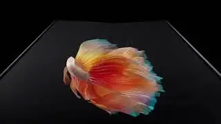 Xiaomi Mix Fold &laquo;взорвал&raquo; рынок