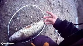 Tongass to mouth Adventures episode 6. Little falls reservoir. PB Walleye