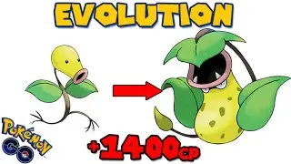 Evolving BELLSPROUT to VICTREEBEL (POKEMON GO EVOLUTION)
