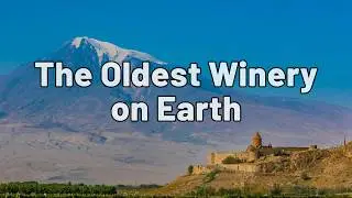 6,000 Years of Armenian Wine