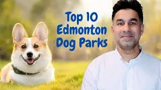 Best Neighborhoods For Dogs in Edmonton
