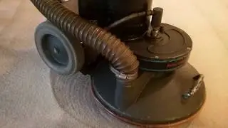 Restoring pet damaged carpet in Sarasota