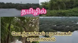 Vedanthangal Bird Sanctuary History | Tamil |please support our channel