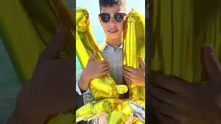 Январь-февраль 2025 Сейшелы 