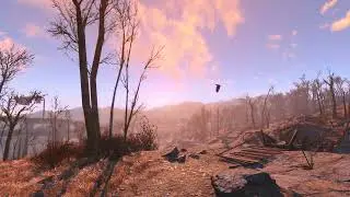 Fallout 4 Ambience