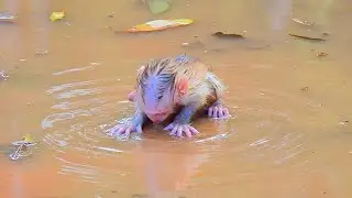 Unforgettable memories.! Sweet tiny baby what's wrong​​.?