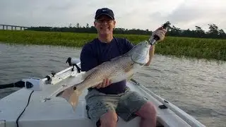Charleston Fishing Charters
