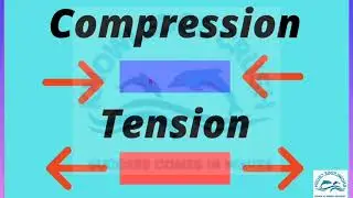 Geography | Geomorphology | Folding and Faulting
