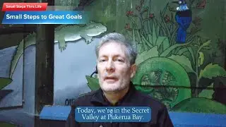 Small Steps to Great Goals